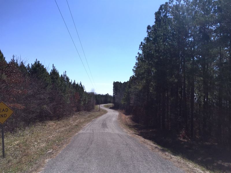 Tract 1578 East : Scotts Hill : Henderson County : Tennessee