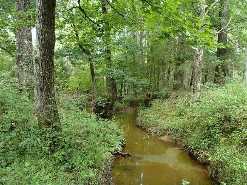 225 Acres in Webster County in Cumb : Maben : Webster County : Mississippi