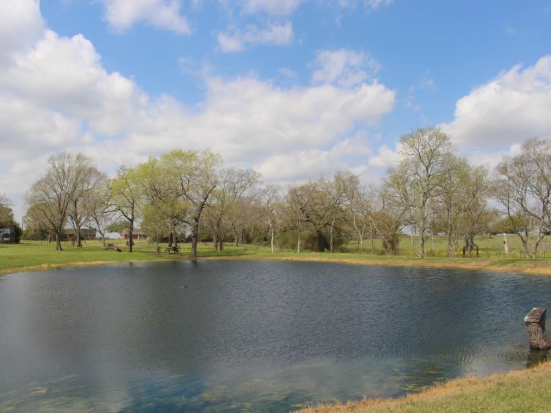 Bruce Farm : Hempstead : Waller County : Texas