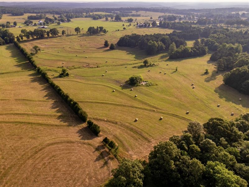 43 Acres, 1/2 Mature Woods, 1/2 : Cave City : Independence County : Arkansas