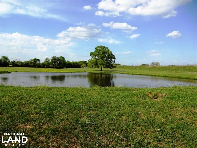 Large Oak Trees, Pond, and Improved : Normangee : Madison County : Texas