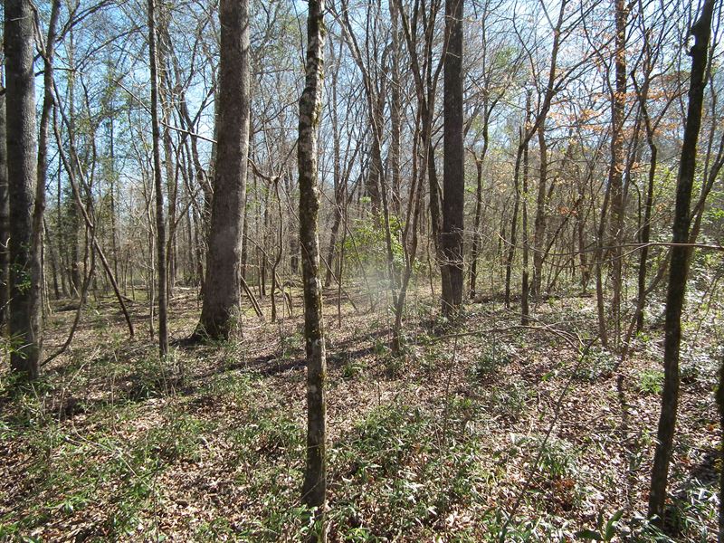 Little Blackwater : Porterville : Kemper County : Mississippi