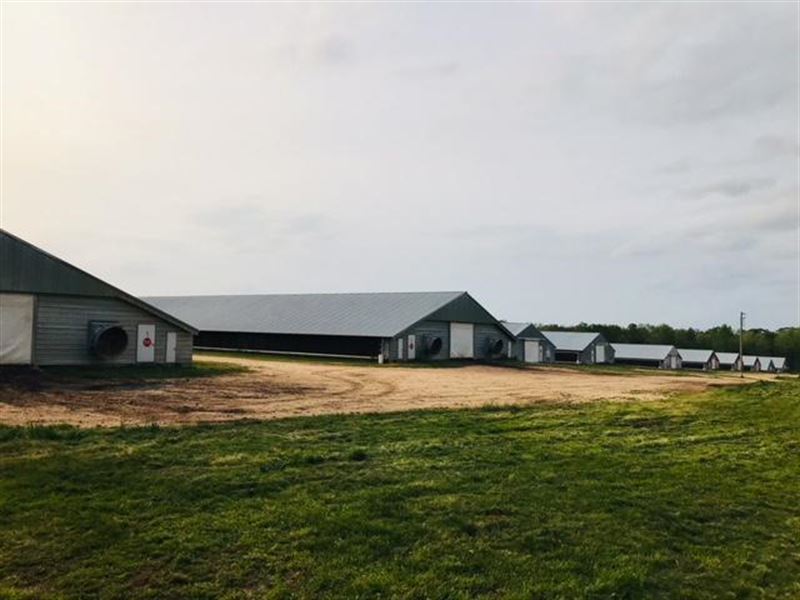 10 Poultry Hse & Home, Must Sell Farm for Sale by Owner in Collins