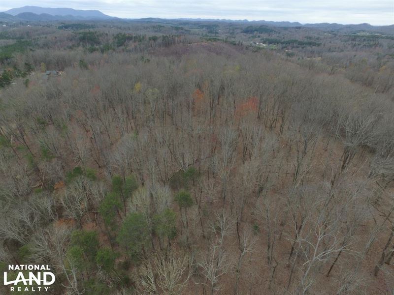 Laurel Mountain Lake Acreage : Madisonville : Monroe County : Tennessee