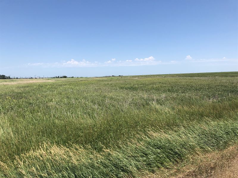 Brown County Sd Hunting Land, Farm for Sale in South Dakota, 146165