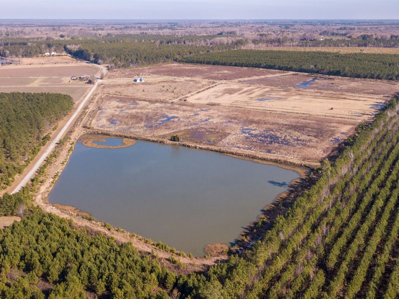 Awesome Value On Duck Impoundments, Farm for Sale in North Carolina