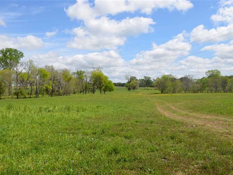 40 Acres of Good Pasture Land, Farm for Sale in Alabama, 146245 FARMFLIP