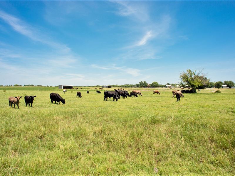 Cattle Ranch On Large Acreage : Wolfe City : Hunt County : Texas