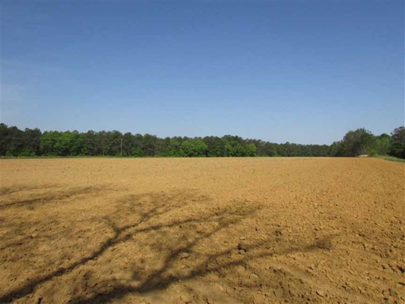 22 Acres of Agriculture Land, Farm for Sale in 146427 FARMFLIP