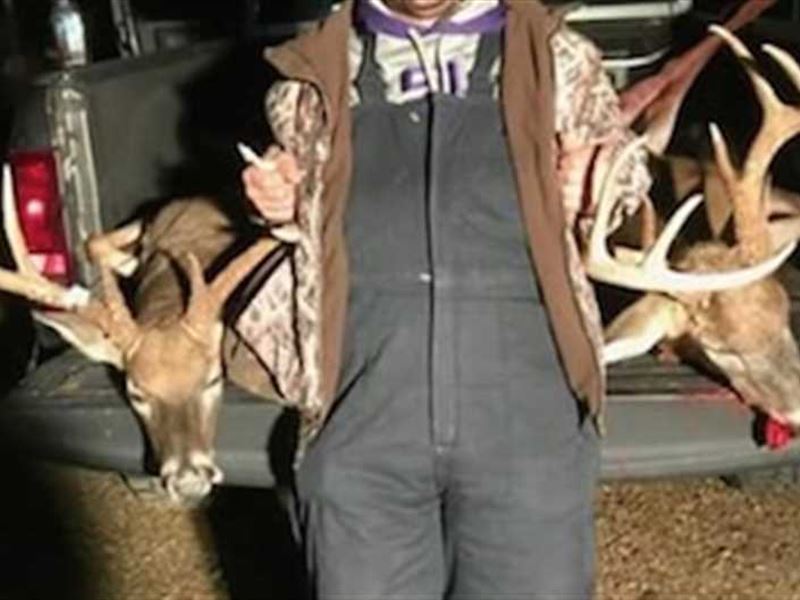 527 Acres of Superior Hunting : Newellton : Tensas Parish : Louisiana