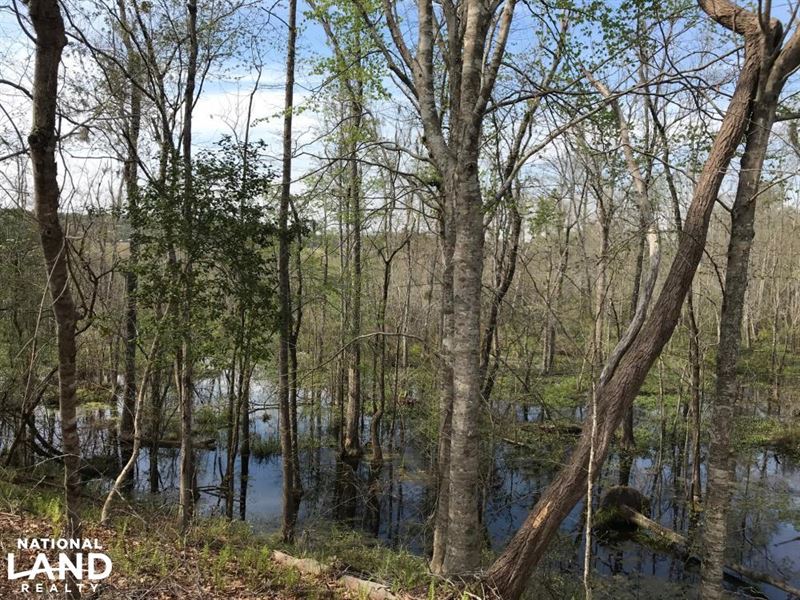Black Mingo Creek, Farm for Sale in South Carolina, 146522 FARMFLIP