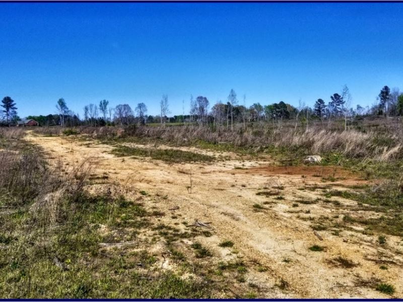 74 Acres in Copiah-Lincoln County : Wesson : Copiah County : Mississippi