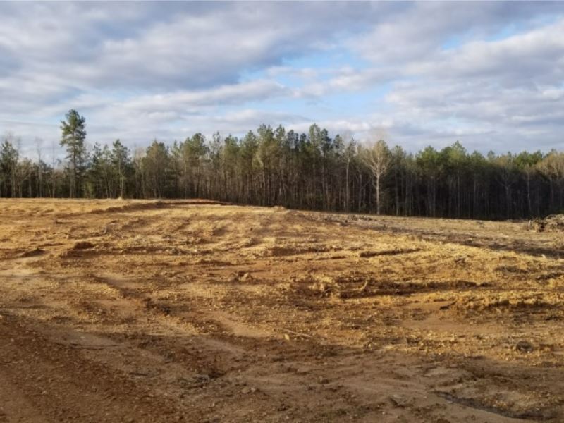 10 Acres in Lincoln County, Ms : Wesson : Lincoln County : Mississippi