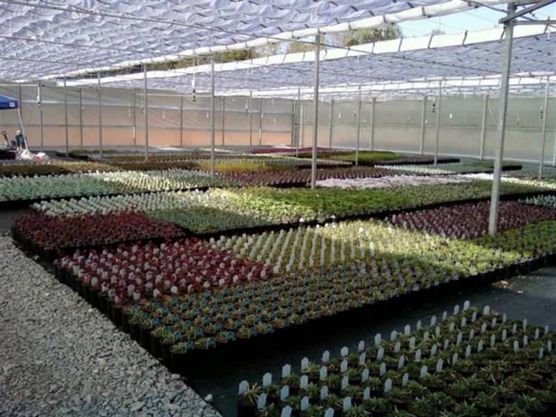 Turn-Key Greenhouse On Secluded Lot : Spring Hill : Maury County : Tennessee