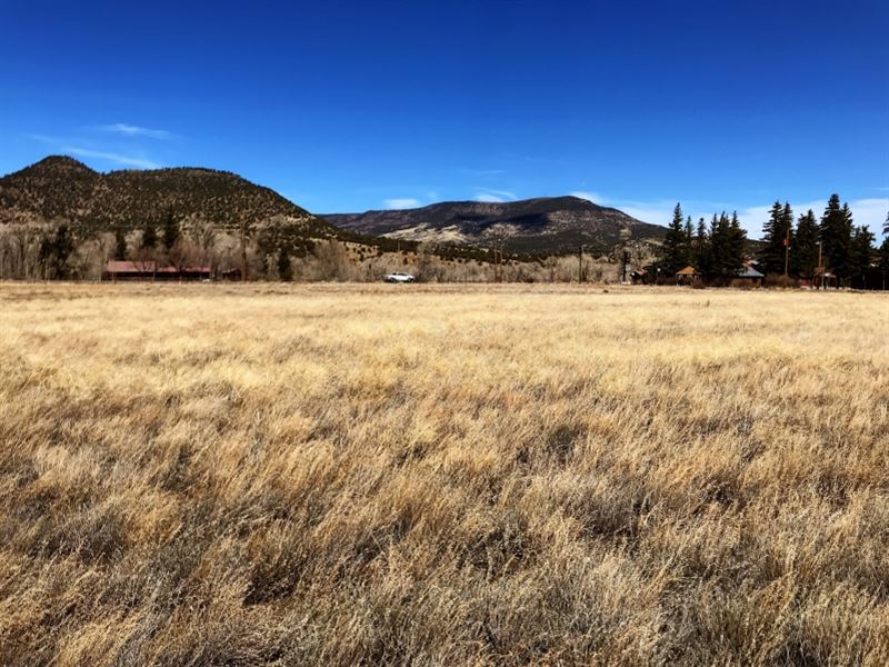 Commercial Mall Tract Lots : South Fork : Rio Grande County : Colorado