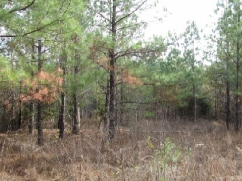 280 Acres in Webster County in Eupo : Eupora : Webster County : Mississippi