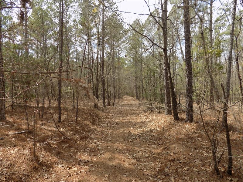 Chesterfield County Sc Acreage, Farm for Sale in South Carolina, 146678 FARMFLIP