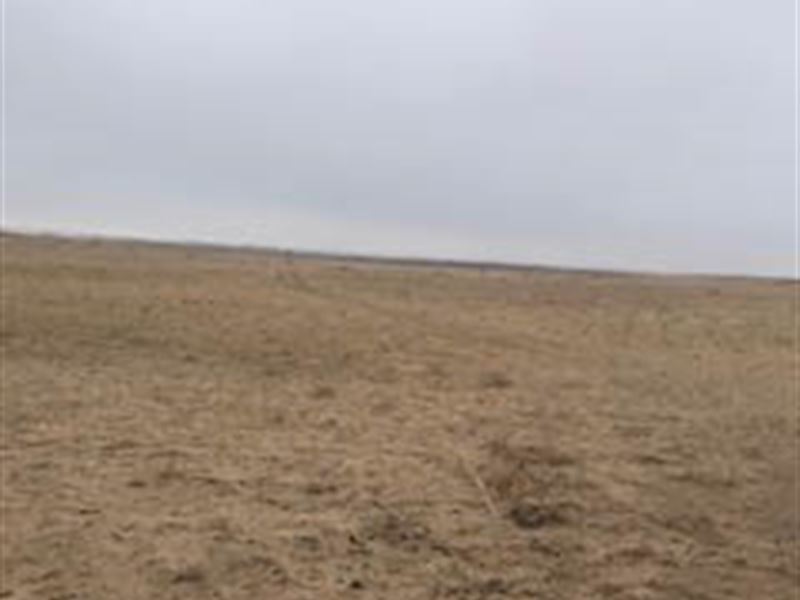 Farm for Sale in Finney County, Ks : Garden City : Finney County : Kansas