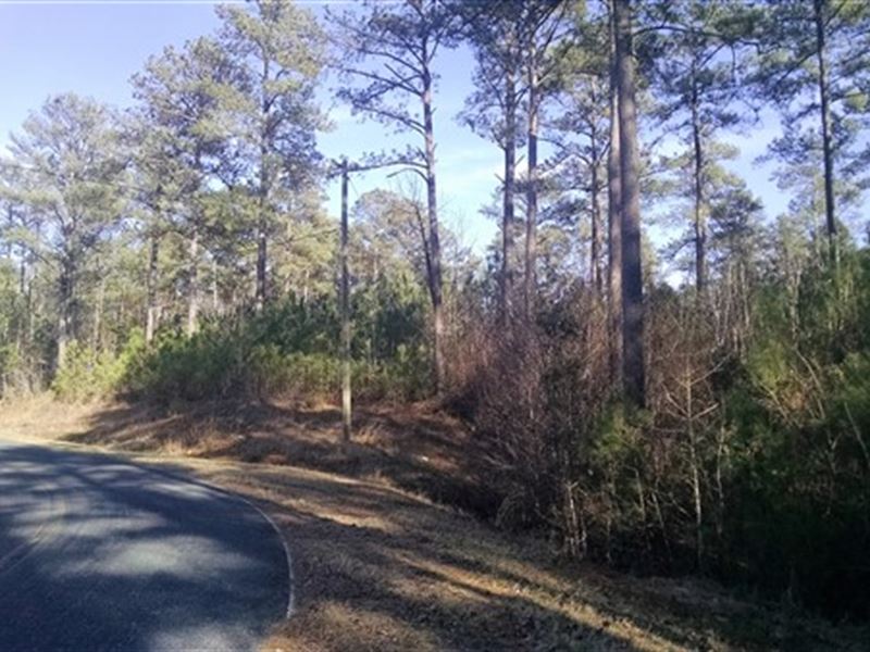 5 Acres Fairfield County, Sc, Farm for Sale in South Carolina, 146819 FARMFLIP