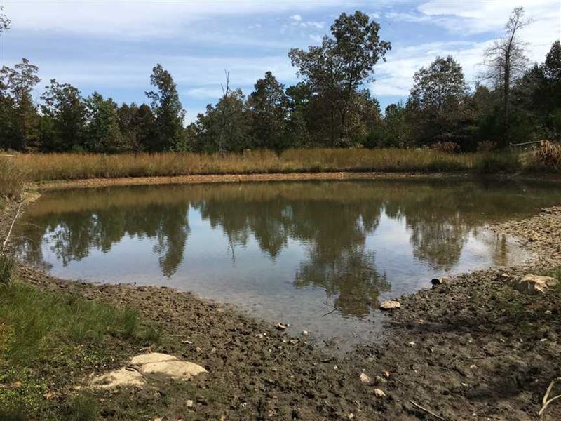 105 Acres Wooded, Ponds, Highwa : Cave City : Sharp County : Arkansas