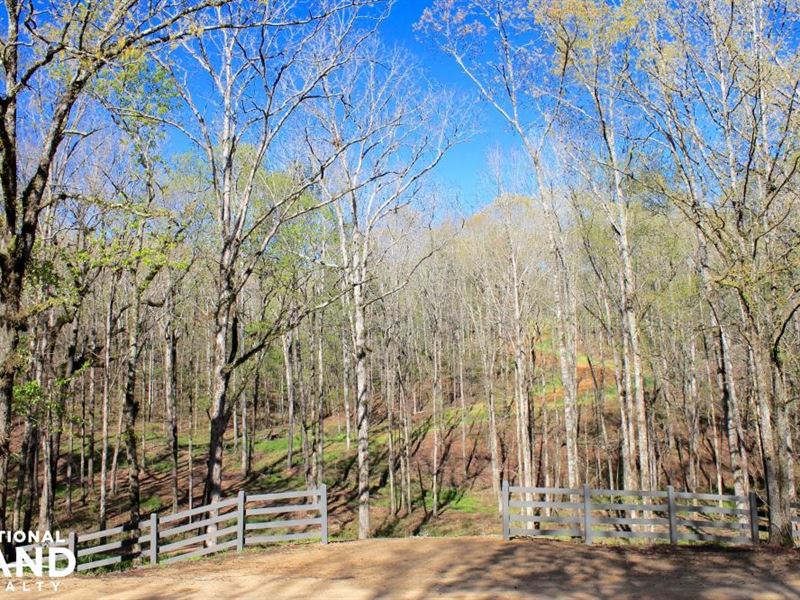 The Atchison Trace Road Columbiana : Columbiana : Shelby County : Alabama