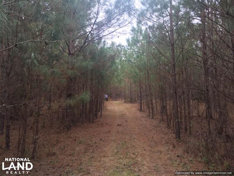 Marydell Recreational Paradise : Carthage : Leake County : Mississippi
