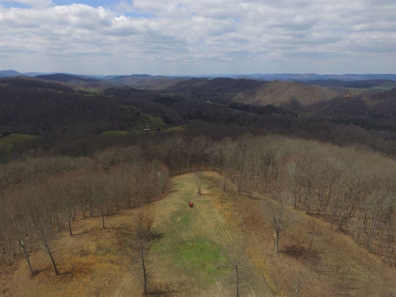 Private 18 Acre Retreat : Eidson : Hawkins County : Tennessee