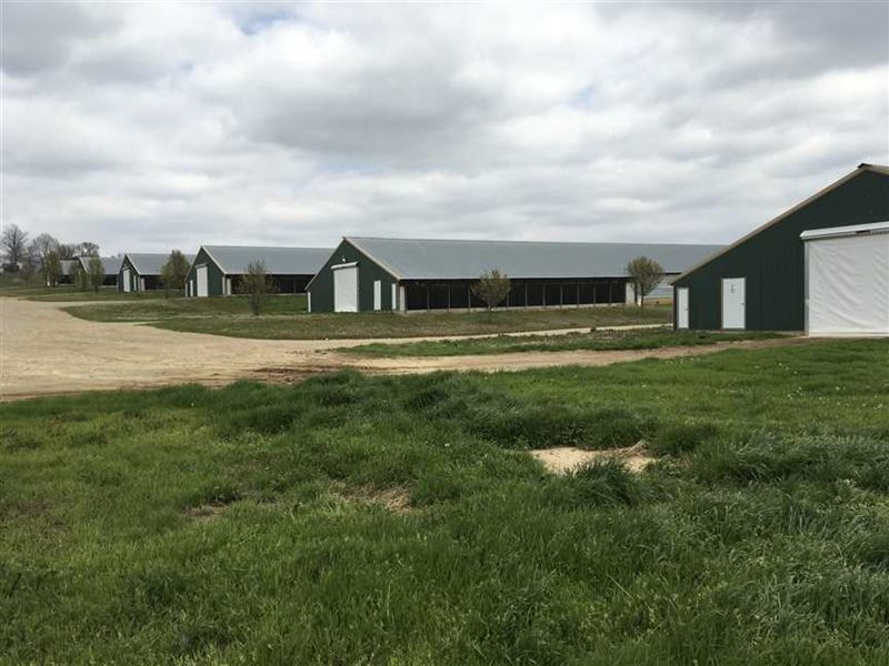 This 6 House, Peco Poultry Farm on : Cave City : Sharp County : Arkansas