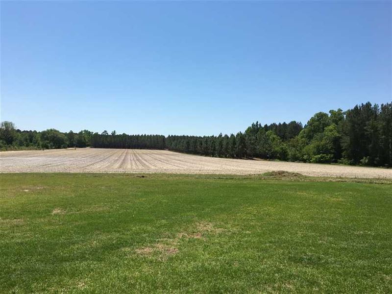 Timber, ag Land, Creek, Ponds, And, Farm for Sale in 147074