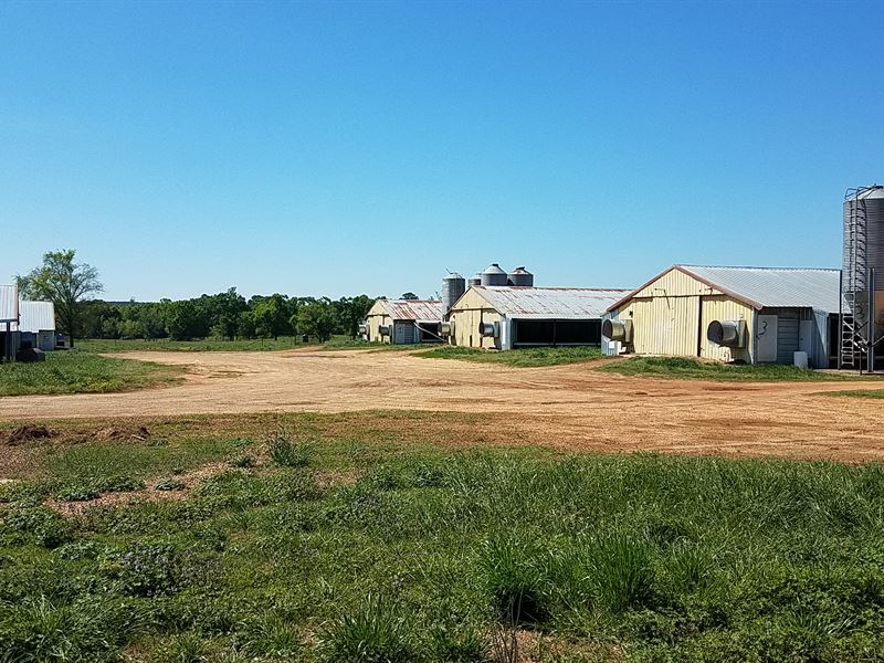 Grand E Farms, 6 House Brolier Farm, Farm for Sale in Alabama, 147111