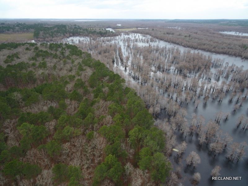 100 Ac, Timber & Hunting With : Winnfield : Winn Parish : Louisiana