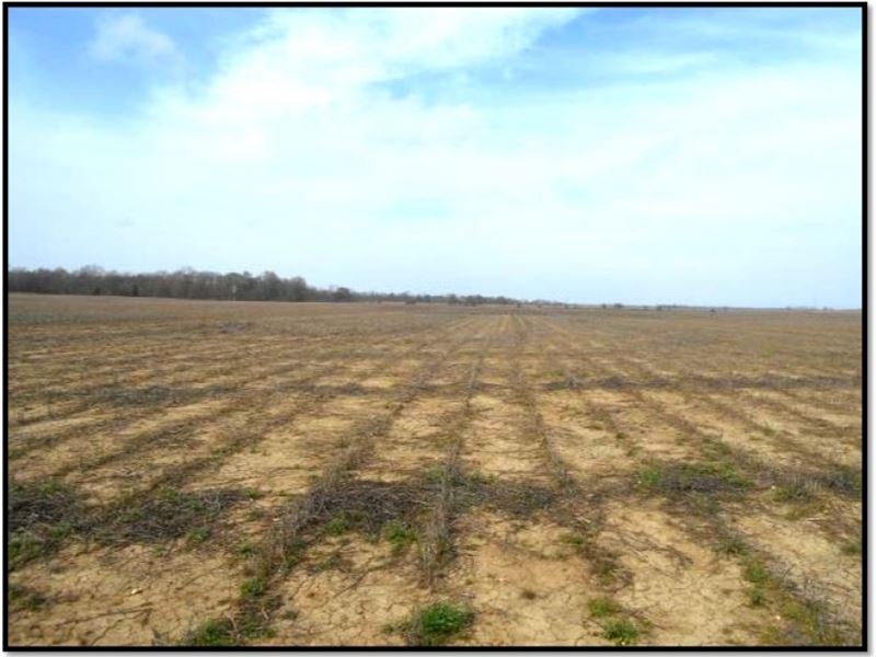 65 Acres in Leflore County : Ruleville : Leflore County : Mississippi