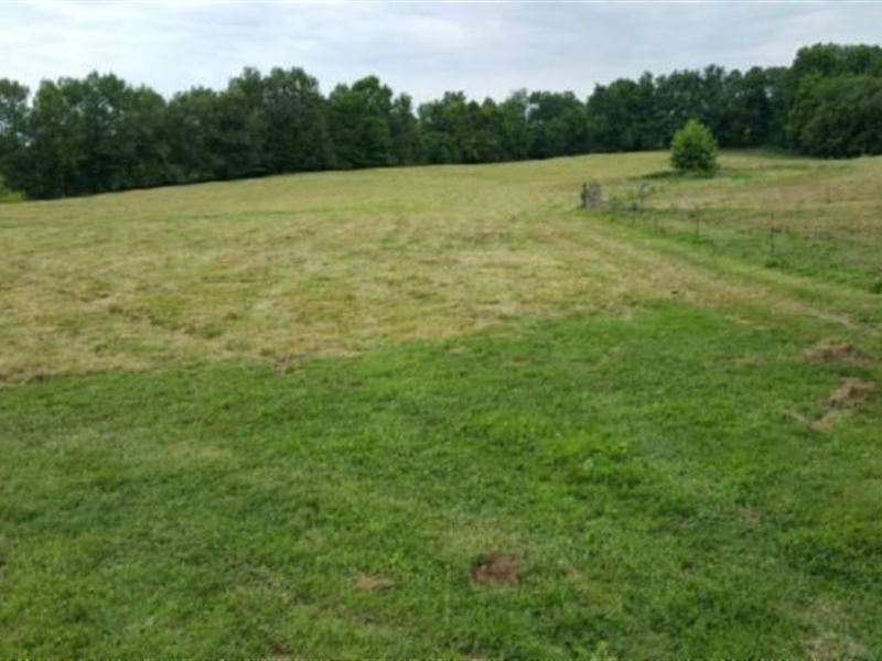 21+ Ac Joins Corp, Mostly Pasture : Livingston : Overton County : Tennessee