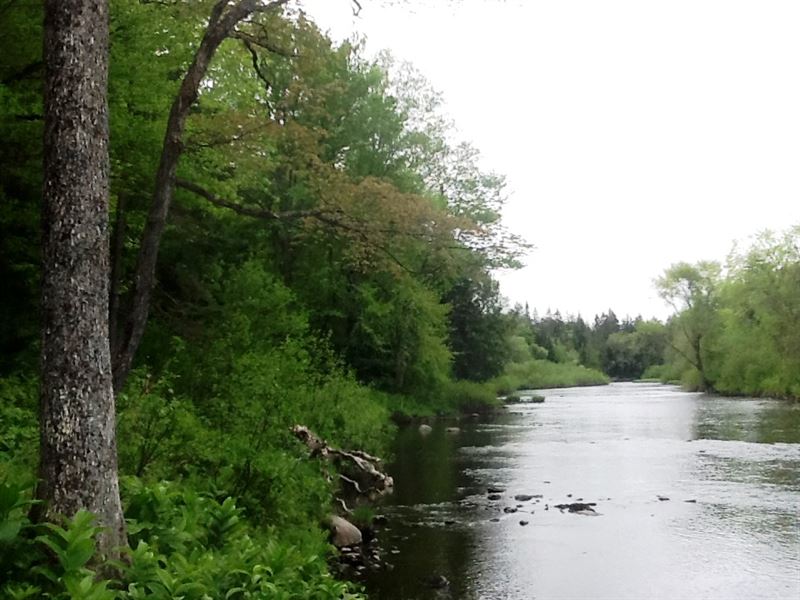 Tug Hill Riverfront : West Turin : New York County : New York