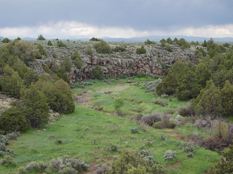 Taos 3 Rocks Ranch : Tres Piedras : Taos County : New Mexico