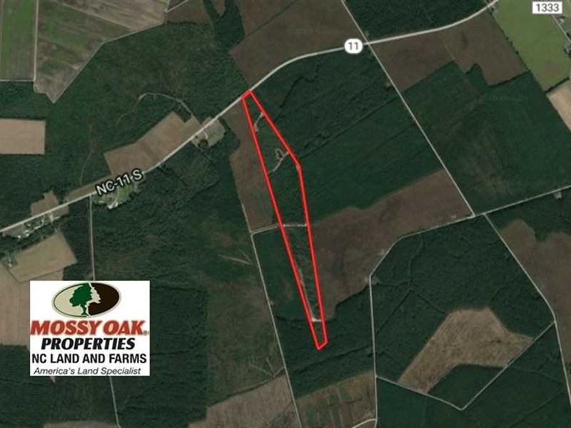 Under Contract, 62.82 Acres : Watha : Pender County : North Carolina