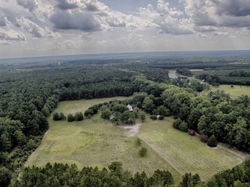 Fox Trail : Hampton : Hampton County : South Carolina