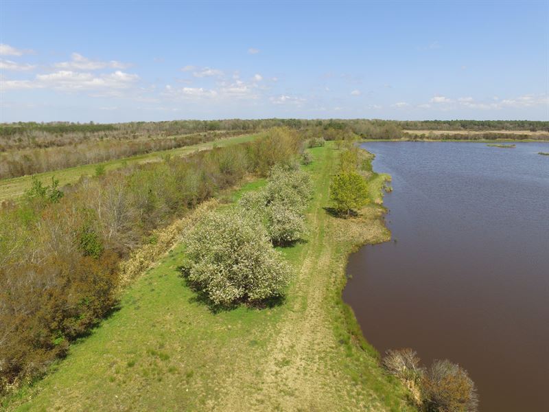 Recreational Property for Sale : Fairfield : Hyde County : North Carolina