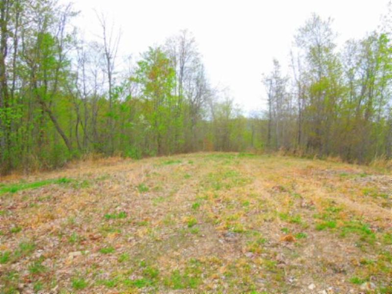 15.63 Surveyed Ac in Secluded Area : Gainesboro : Jackson County : Tennessee