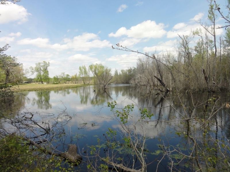Family Legacy Ranch : Crockett : Houston County : Texas