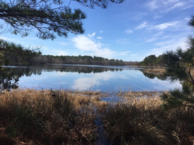 Daughtry Farms, Farm for Sale in 147593 FARMFLIP