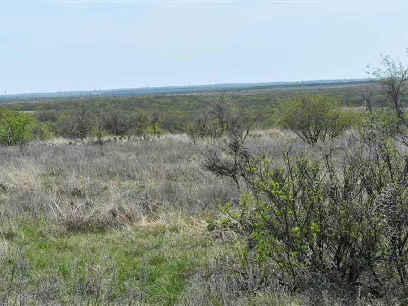 226 Acres Baylor County, Near Seym : Seymour : Baylor County : Texas