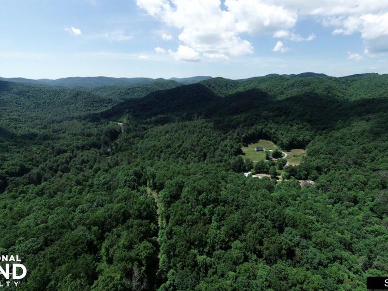 East Fork Of The French Broad River : Brevard : Transylvania County : North Carolina