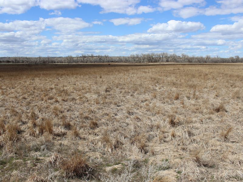 Sw Nebraska Pheasant Haven : Trenton : Hitchcock County : Nebraska