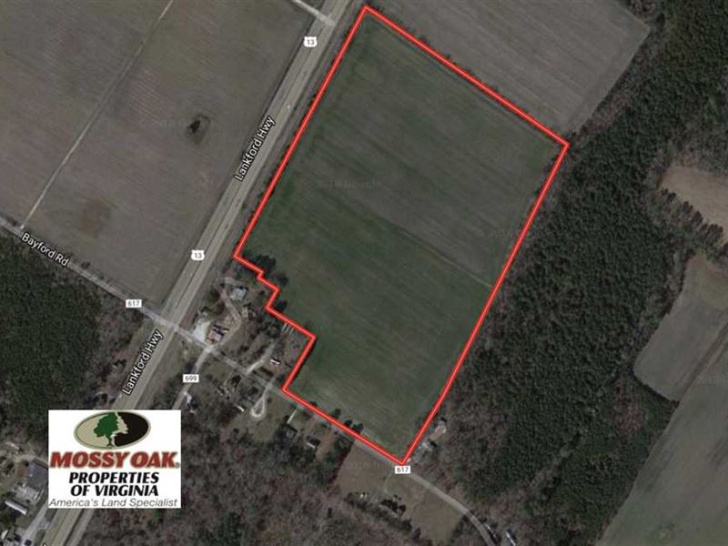 Reduced, 30 Acres of Hunting Land : Weirwood : Northampton County : Virginia