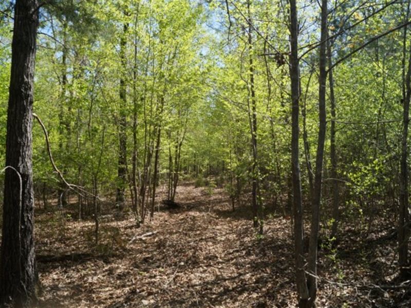 5 Acres Fairfield County, Sc, Farm for Sale in South Carolina