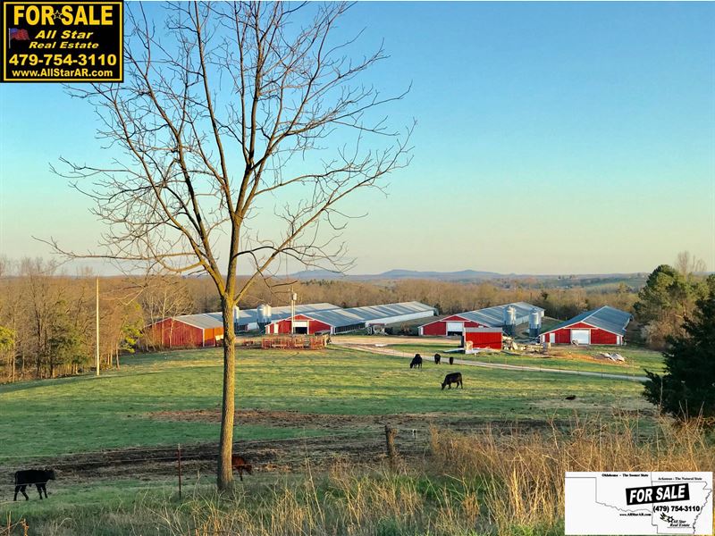 Poultry Farm with 15.8 Acres : Omaha : Boone County : Arkansas