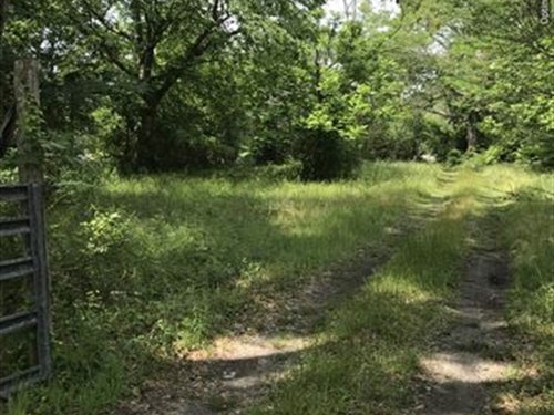 16+/-Ac In Clarke County, Ms : Shubuta : Clarke County : Mississippi