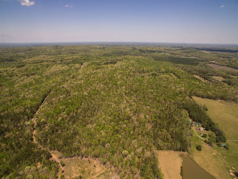 Private 30Ac Alamance Co Offering : Snow Camp : Alamance County : North Carolina