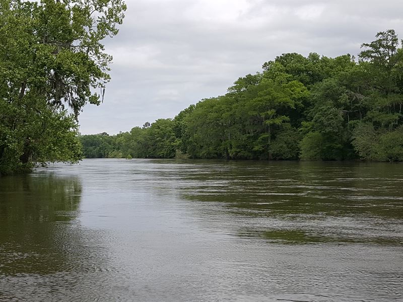 Flint River Cotton Boat Shoals : Albany : Dougherty County : Georgia